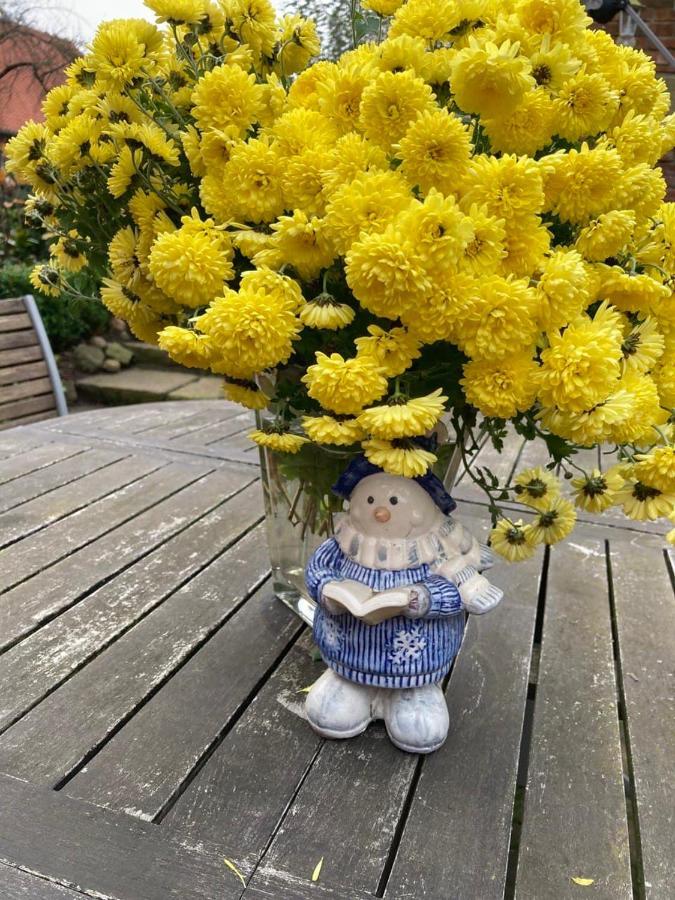 Ferienhaus Zur Sonne Wolpinghausen Exteriör bild